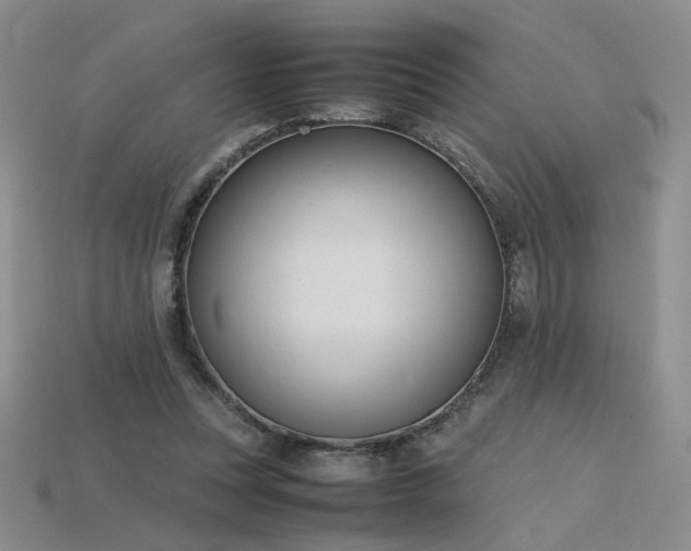 X0000115780351200911131252