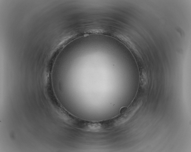 X0000115780355200911131252