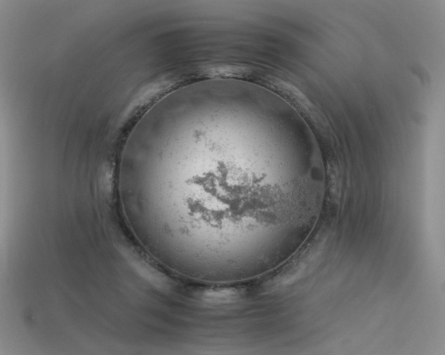 X0000115780357200911131252