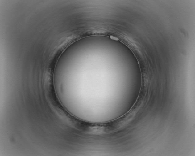 X0000115780362200911131252