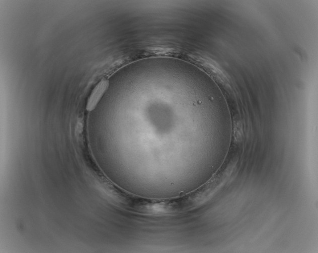 X0000115780365200911131252