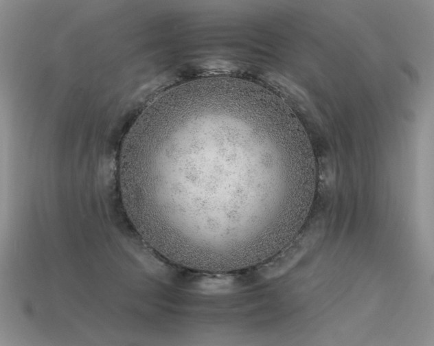 X0000115780369200911131252