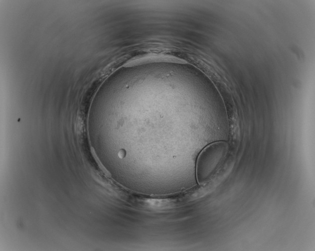 X0000115780371200911131252