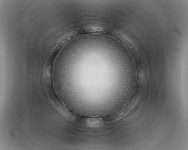 X0000115780373200911131252