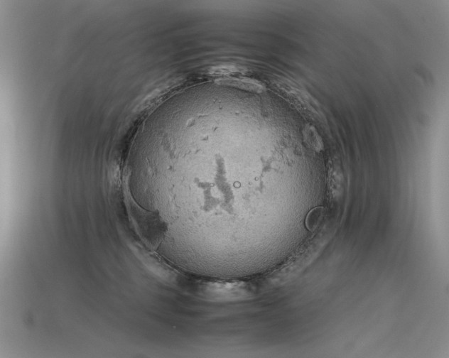 X0000115780375200911131252