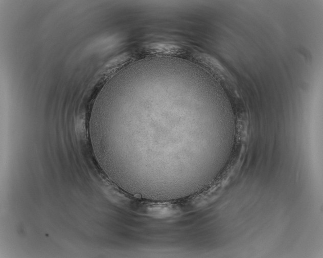 X0000115780377200911131252