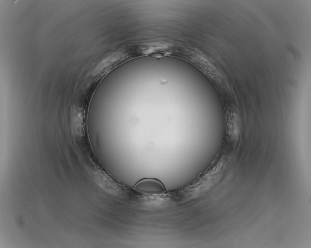 X0000115780378200911131252