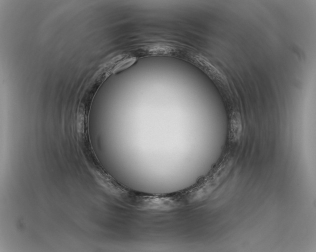 X0000115780379200911131252