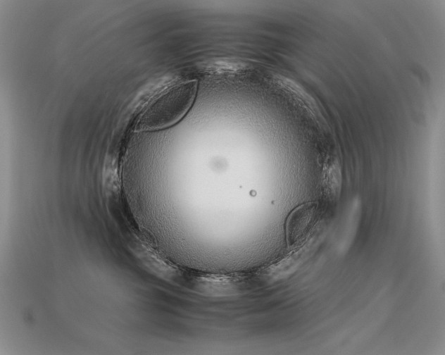 X0000115780381200911131252