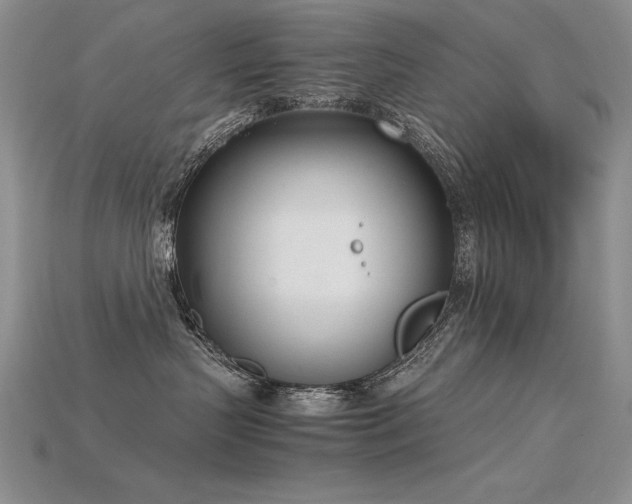 X0000115780383200911131252