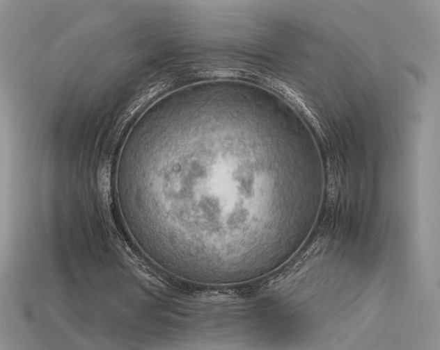 X0000115780386200911131252