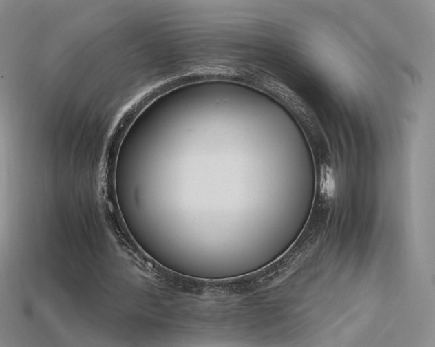 X0000115780388200911131252