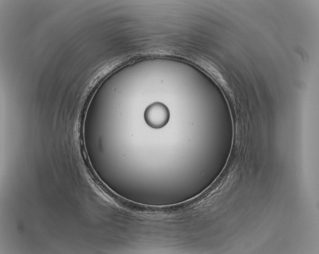 X0000115780389200911131252