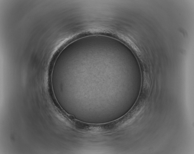 X0000115780391200911131252