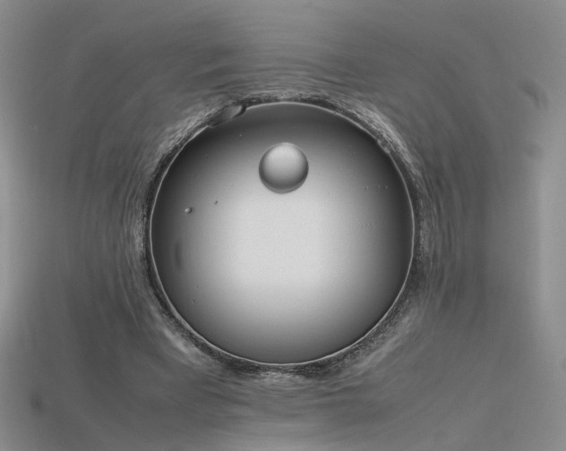 X0000115780393200911131252