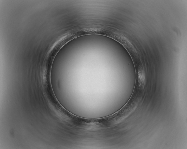 X0000115780396200911131252