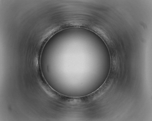 X0000115780398200911131252