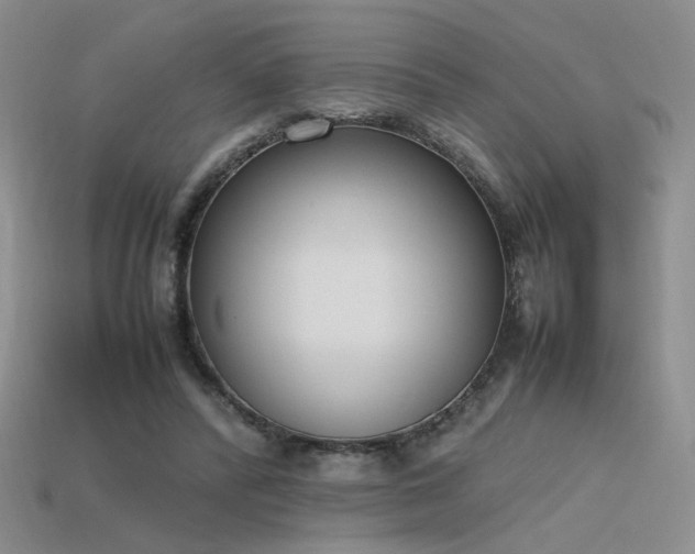 X0000115780400200911131251