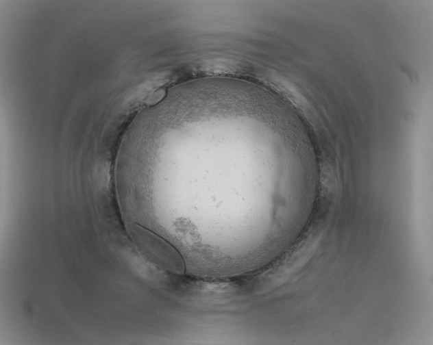 X0000115780401200911131251