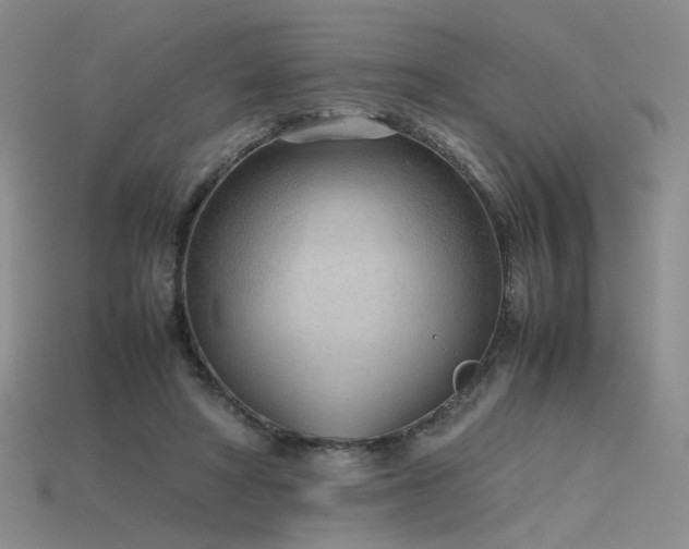 X0000115780402200911131251