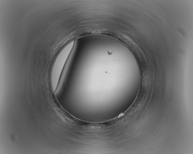 X0000115780405200911131251
