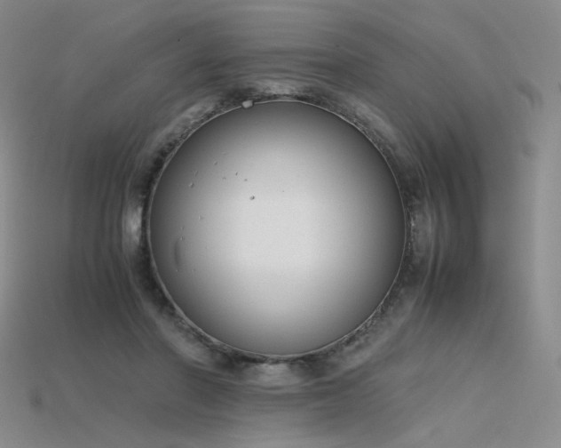X0000115780406200911131251