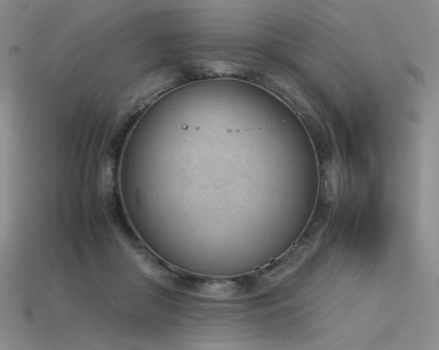 X0000115780410200911131251