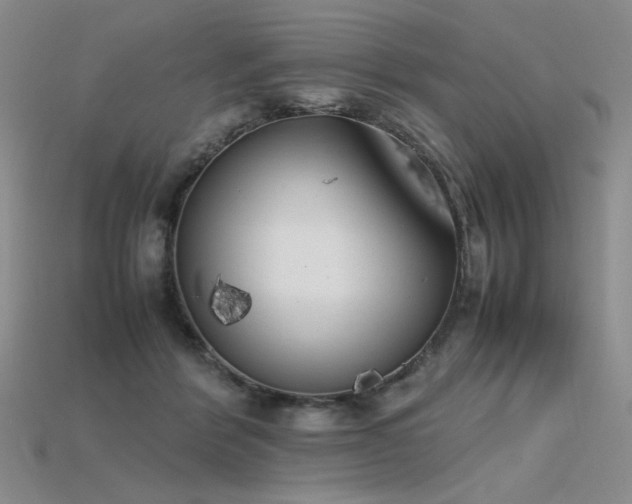X0000115780412200911131251