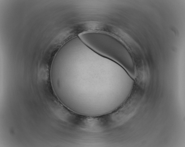 X0000115780413200911131251