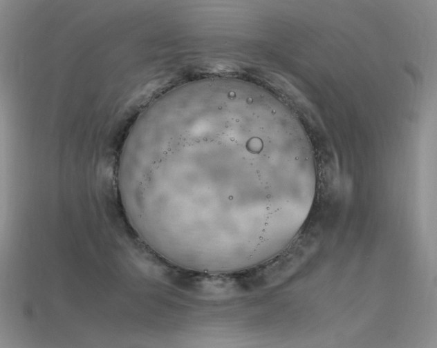 X0000115780415200911131251