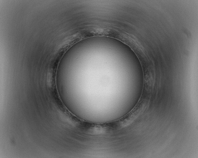 X0000115780416200911131251