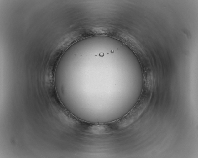 X0000115780418200911131251