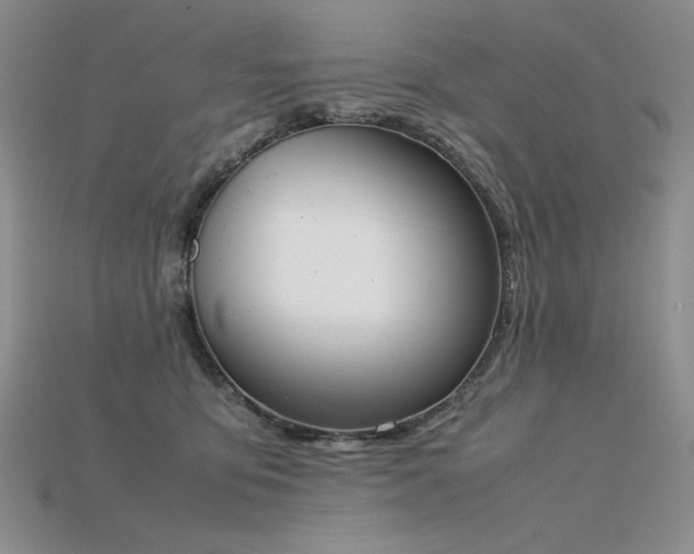 X0000115780419200911131251