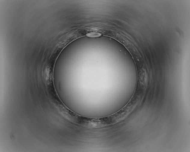 X0000115780420200911131251