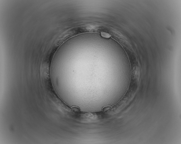 X0000115780421200911131251