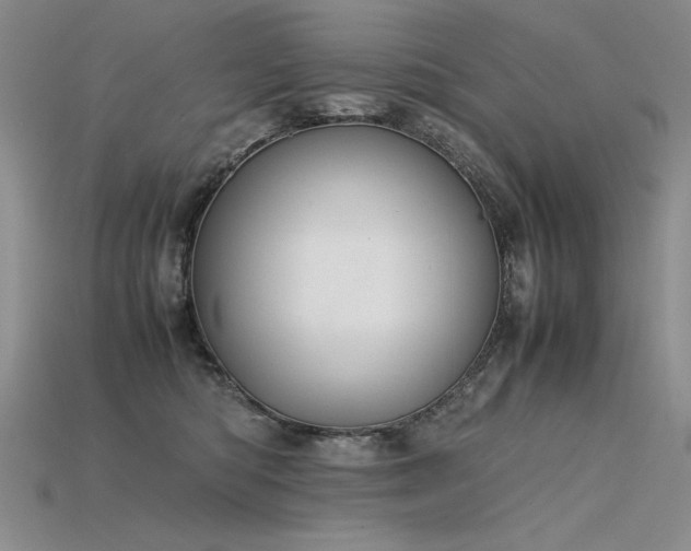 X0000115780422200911131251