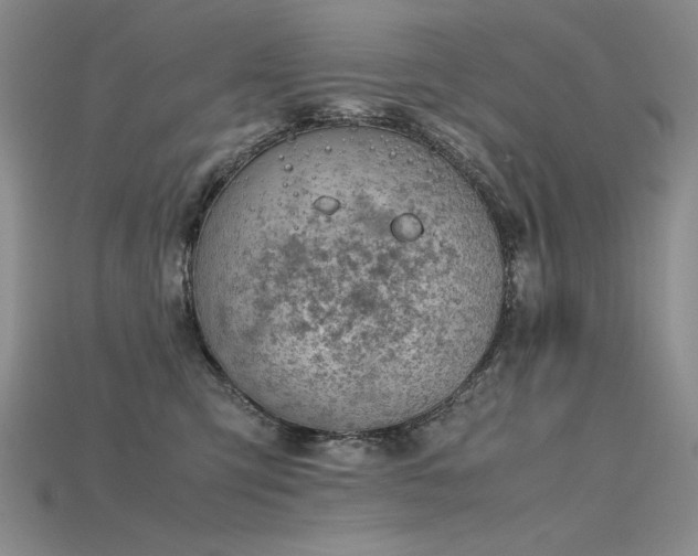X0000115780423200911131251