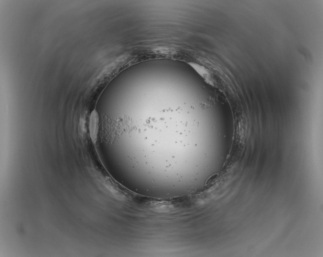 X0000115780424200911131251