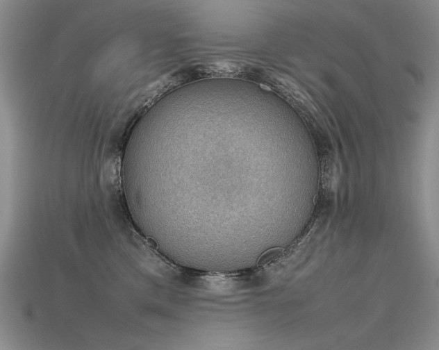 X0000115780425200911131251