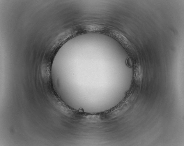 X0000115780426200911131251