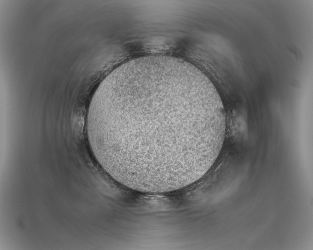 X0000115780427200911131251