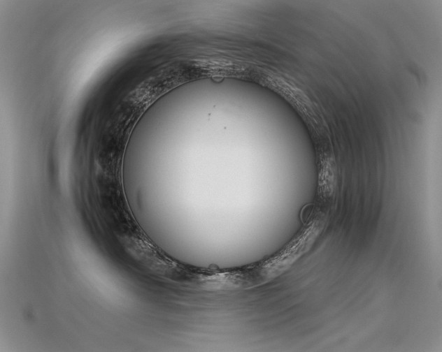 X0000115780430200911131251