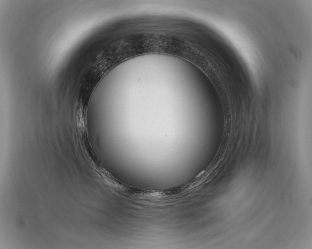 X0000115780431200911131251