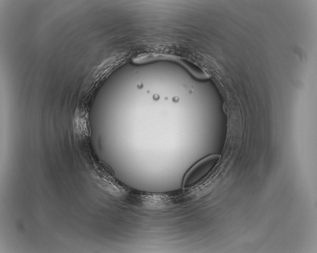 X0000115780432200911131251