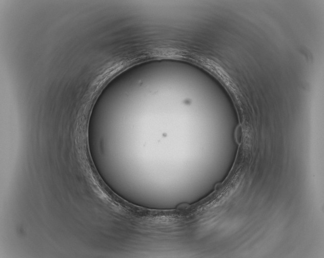 X0000115780433200911131250