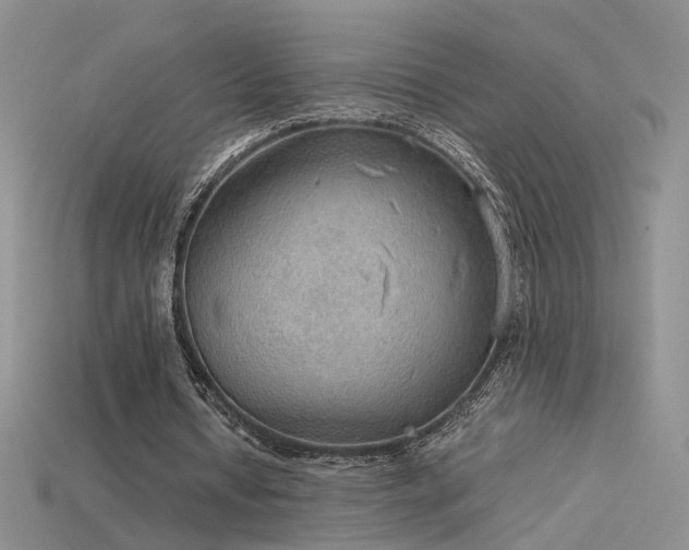 X0000115780434200911131250