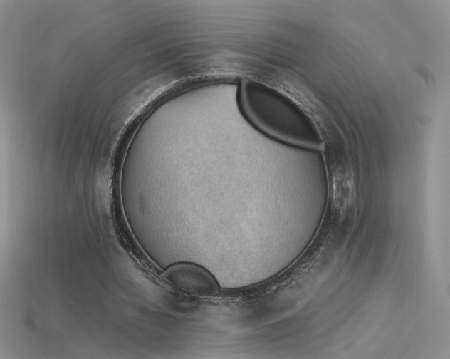 X0000115780436200911131251