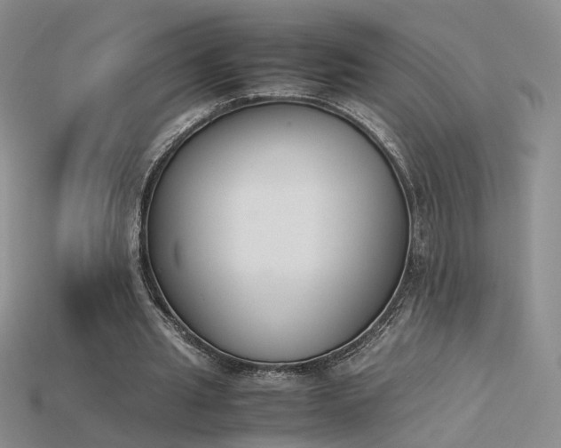 X0000115780437200911131251