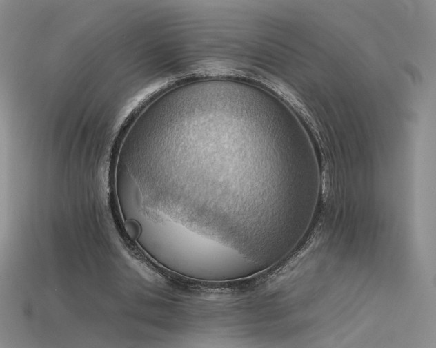 X0000115780438200911131251