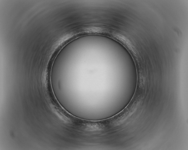 X0000115780439200911131251